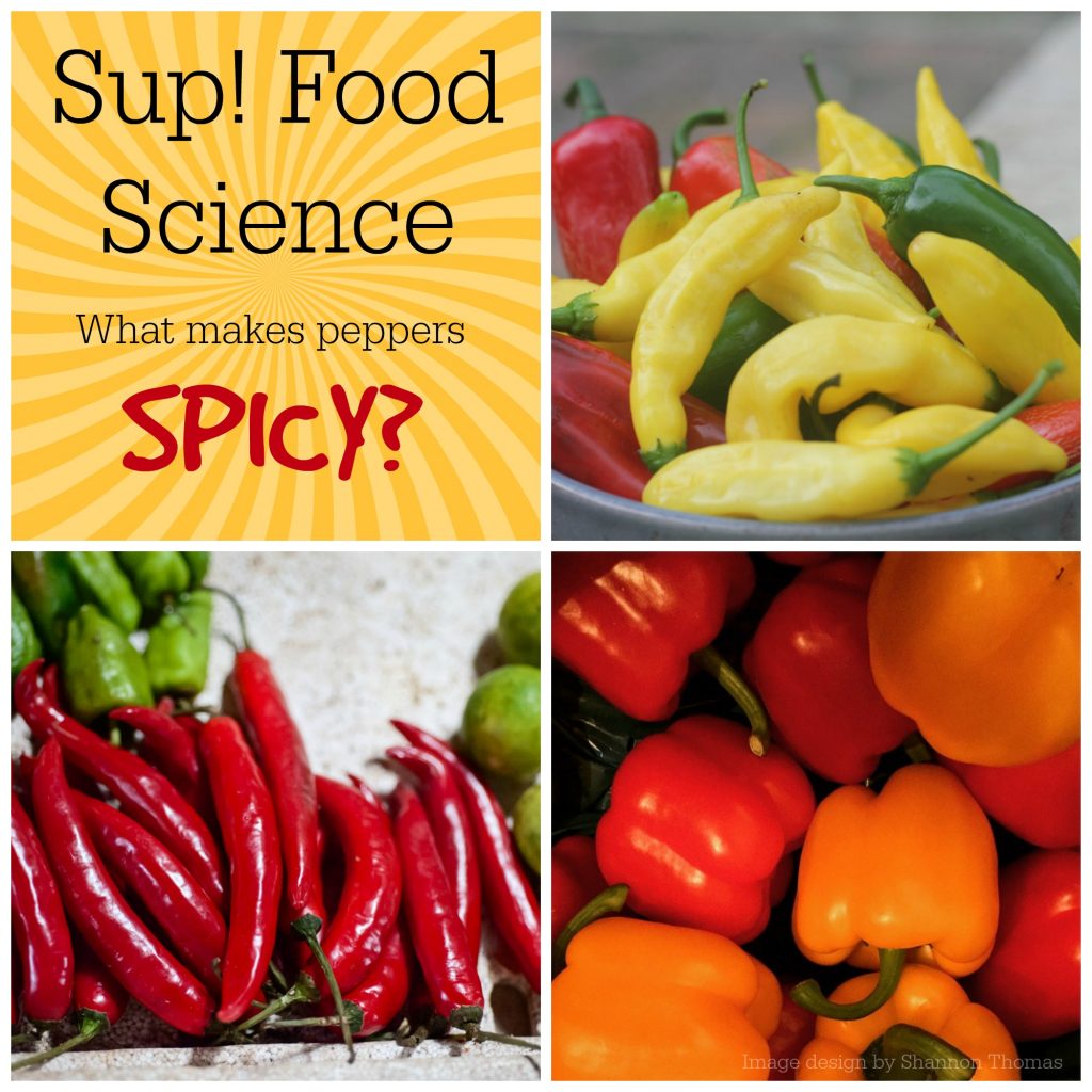 food-science-what-makes-peppers-spicy-sup