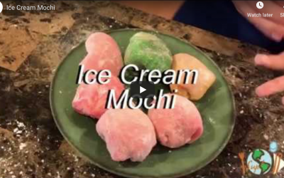 Mochi from Japan